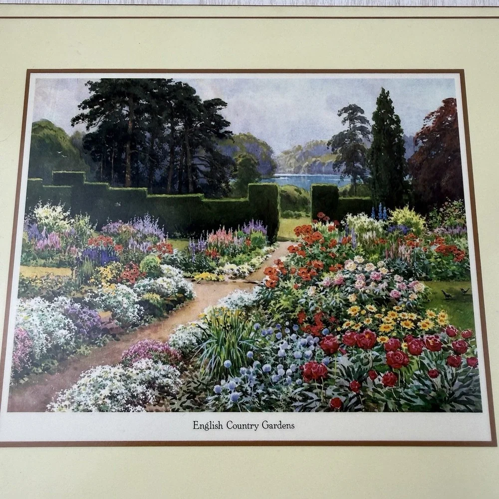 Pimpernel this vintage